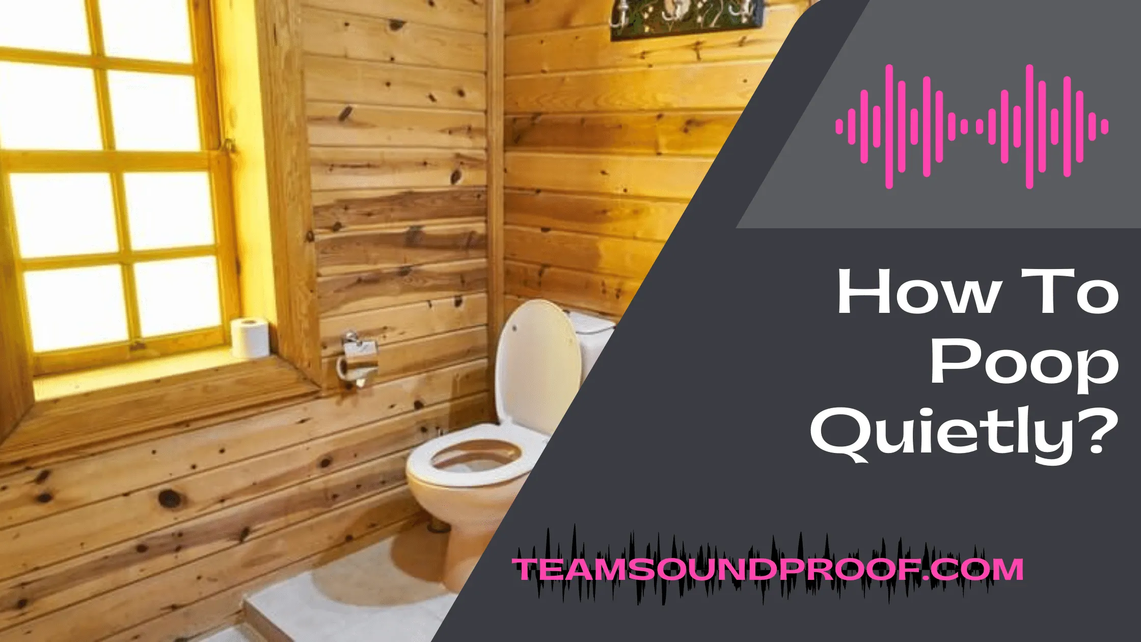 How To Poop Quietly? Complete Guide