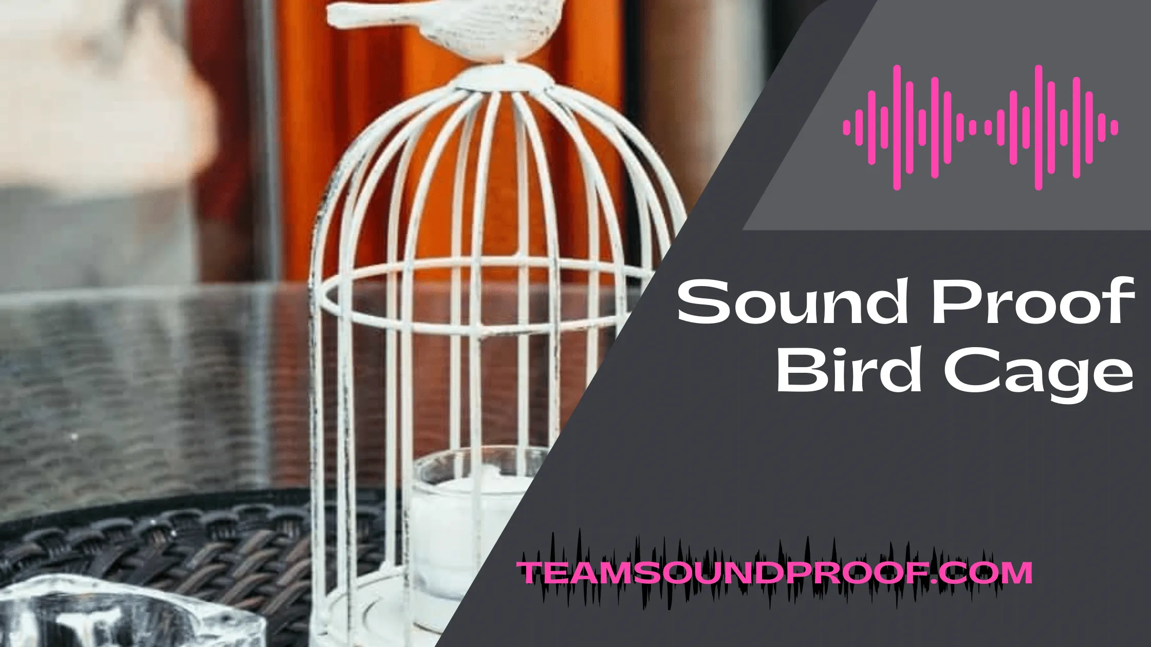 Sound Proof Bird Cage With Products Comparison